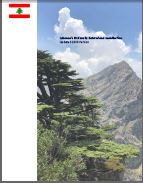 Lebanon’s Nationally Determined Contribution -  Updated 2020 Version